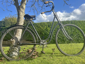 LOT 69 1903 SINGER ‘MODELE DE LUXE’ LADIES